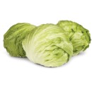 Australian-Iceberg-Lettuce Sale