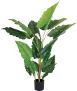 NEW-Artificial-Calathea-150cm Sale