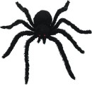 Giant-Hairy-Spider Sale