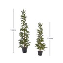 Nova-Slim-Artificial-Christmas-Tree-by-Habitat Sale