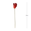 Artificial-Anthurium-Stem-by-MUSE Sale