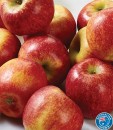 Australian-Envy-Apples Sale