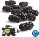 Australian-Blackberries-170g-Punnet Sale