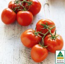 Australian-Truss-Tomatoes Sale