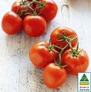 Australian-Truss-Tomatoes Sale