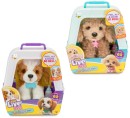 Little-Live-Pets-My-Really-Real-Puppy-Assorted Sale