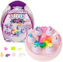 Hatchimals-Alive-Rainbow-Hatchery Sale