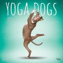 Brown-Trout-2025-16-Month-Calendar-Yoga-Dogs Sale