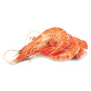 Thawed-Medium-Cooked-Australian-Tiger-Prawns Sale