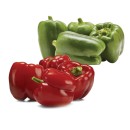 Australian-Red-or-Green-Capsicums Sale