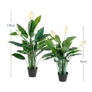 Peace-Lily-Plant-by-MUSE Sale