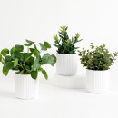 Artificial-Elly-Potted-Succulent-by-MUSE Sale