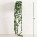 Maya-Jelly-Bean-Hanging-Potted-Plant-by-MUSE Sale