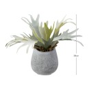 Artificial-Staghorn-Potted-Plant-by-MUSE Sale