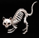 NEW-Skeleton-Cat-Standing-19cm-Ea Sale