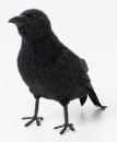 Crow-Realistic-Standing-19cm-Ea Sale