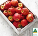 Australian-Pink-Lady-Apples Sale