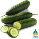 Australian-Lebanese-Cucumber Sale