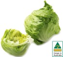 Australian-Iceberg-Lettuce Sale