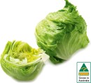 Australian-Iceberg-Lettuce Sale