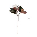 Magnolia-Branch-by-MUSE Sale