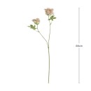 Queen-Annes-Lace-Stem-by-Habitat Sale