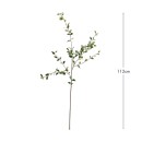 Willow-Leaf-Branch-by-MUSE Sale