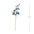 Delphinium-Pick-by-MUSE Sale