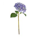 Hydrangea-Stem-by-MUSE Sale