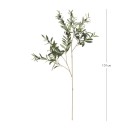 Olive-Branch-Stem-by-MUSE Sale