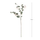 Seeded-Eucalyptus-Waterproof-Stem-by-MUSE Sale