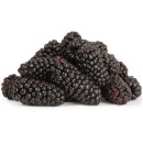 Australian-Blackberries-170g-Punnet Sale