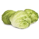 Australian-Iceberg-Lettuce Sale