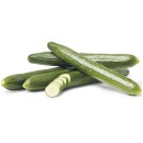 Australian-Continental-Cucumber Sale