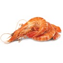 Thawed-Extra-Large-Cooked-Australian-Tiger-Prawns Sale