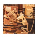 Halloween-Small-Animal-Skeleton-Assorted Sale