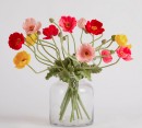 Single-Poppy-Stem-by-MUSE Sale