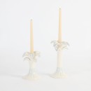 Coast-Palm-Candle-Holder-by-MUSE Sale