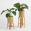 Havana-Planter-on-Stand-by-MUSE Sale