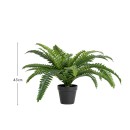 Artificial-Boston-Fern-by-MUSE Sale