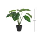 Artificial-Pothos-Plant-by-MUSE Sale