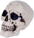 30-off-Life-Like-Halloween-Skull Sale