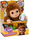 Little-Live-Pet-My-Lil-Baby-Monkey-Plush Sale