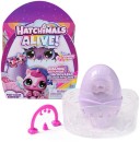 Hatchimals-Alive-Fizzy-Colour-Surprise Sale