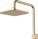 Caroma-Brushed-Brass-Luna-Fixed-Overhead-Shower Sale