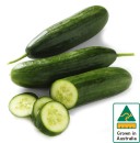 Australian-Lebanese-Cucumber Sale