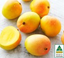 Australian-Kensington-Pride-Mangoes Sale