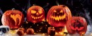 Australian-Jack-O-Lantern-Pumpkin Sale