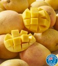 Australian-Kensington-Pride-Mangoes Sale