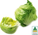 Australian-Iceberg-Lettuce Sale